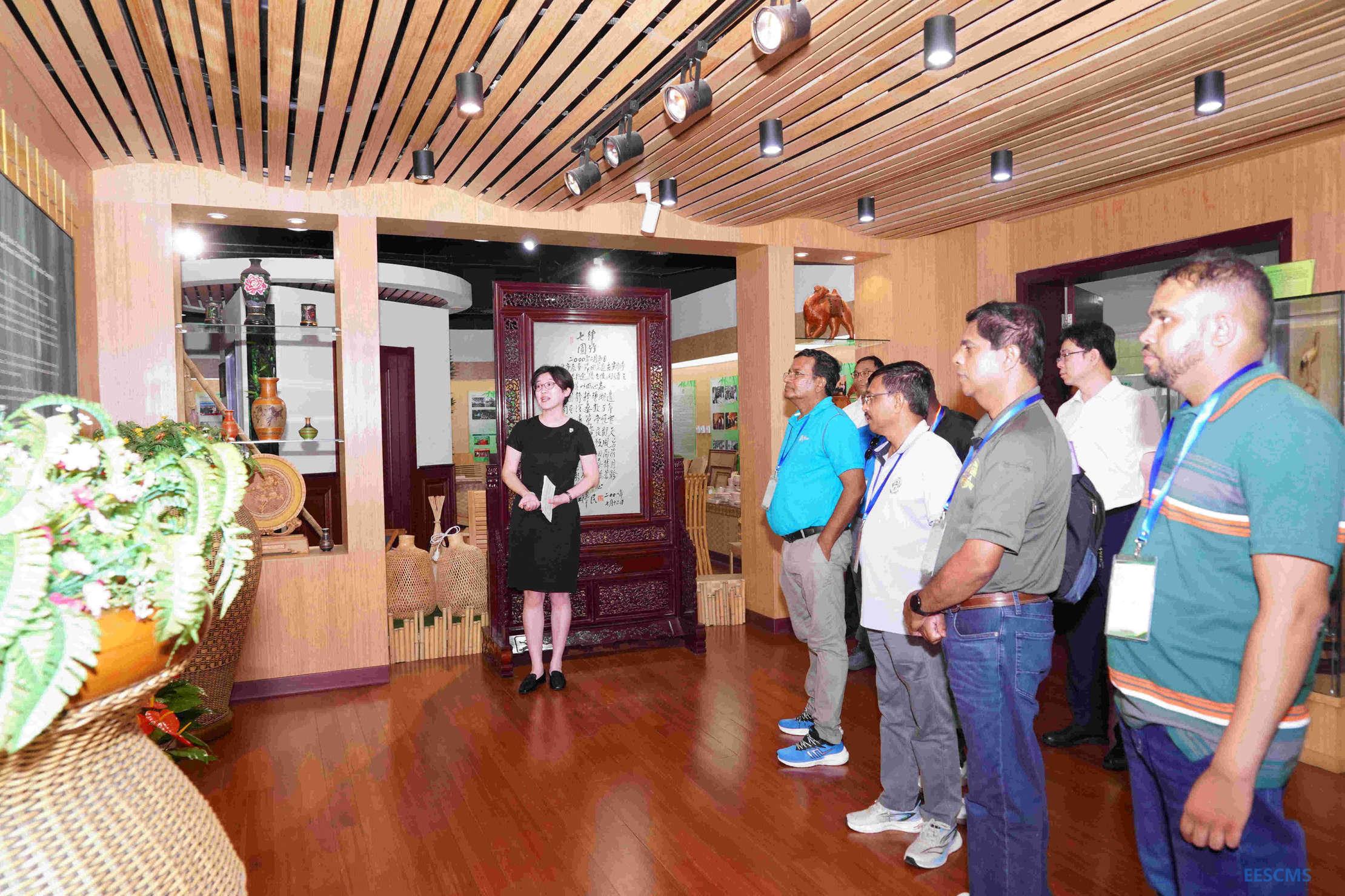 参观国际竹藤展厅_副本.jpg